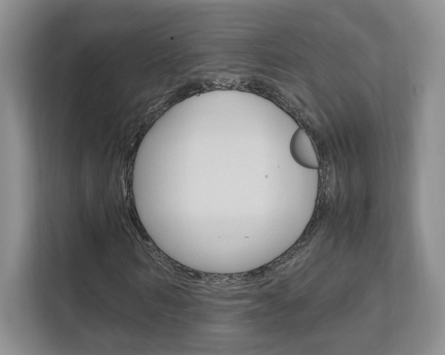 X0000111950962200907271031