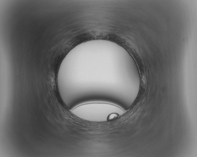 X0000111950963200907271031