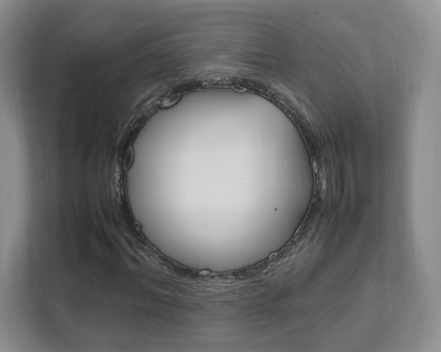 X0000111950964200907271031