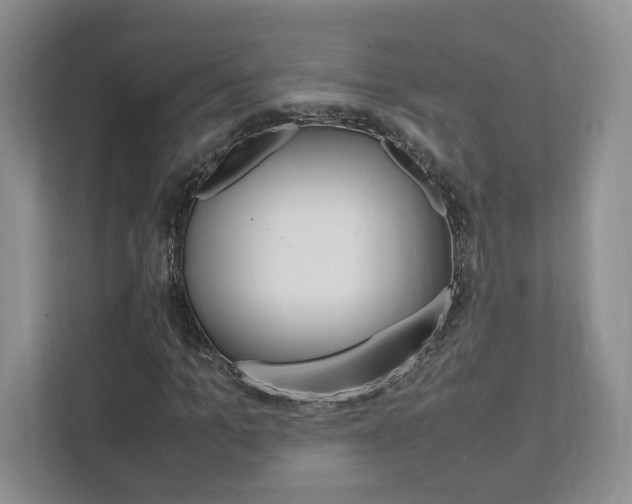 X0000111950965200907271031