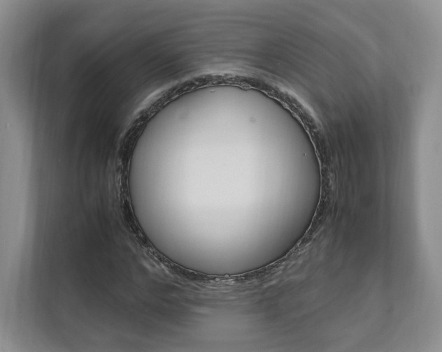 X0000111950968200907271031