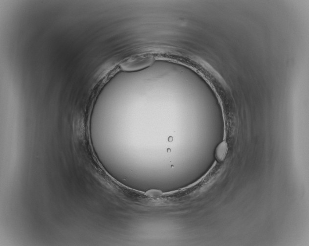 X0000111950969200907271031