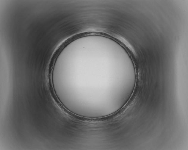 X0000111950972200907271031