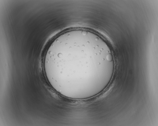 X0000111950974200907271031
