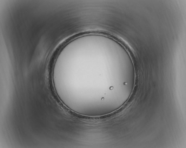X0000111950975200907271031
