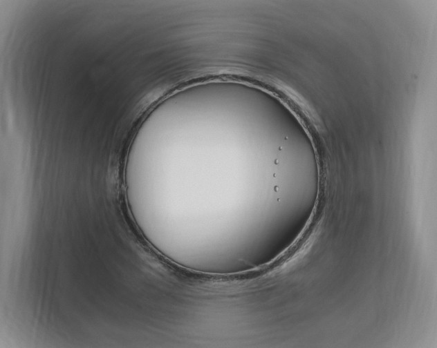 X0000111950977200907271031
