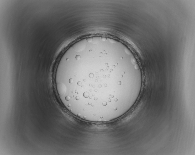 X0000111950978200907271031