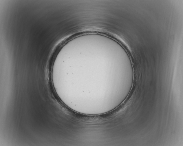 X0000111950979200907271031