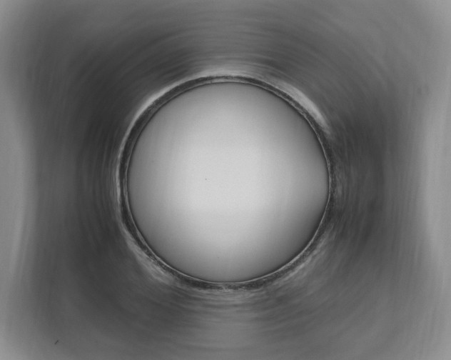X0000111950980200907271031