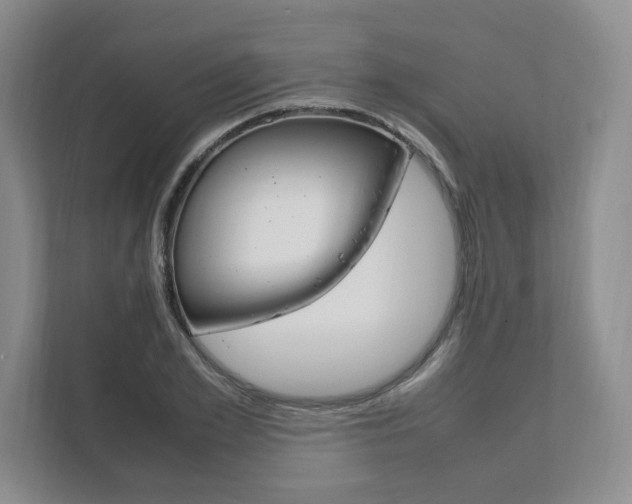 X0000111950981200907271031