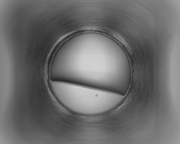 X0000111950984200907271031