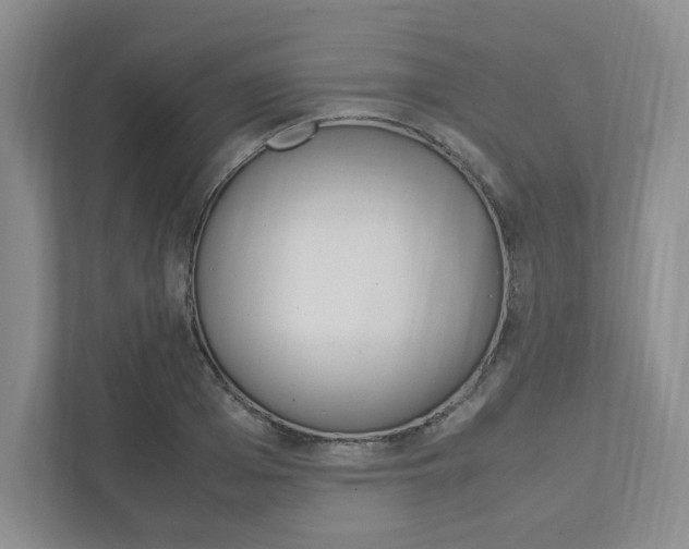 X0000111950985200907271031