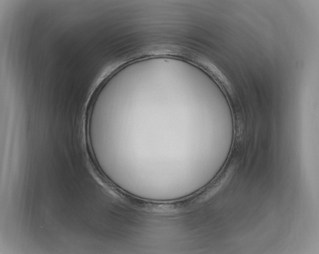 X0000111950986200907271031