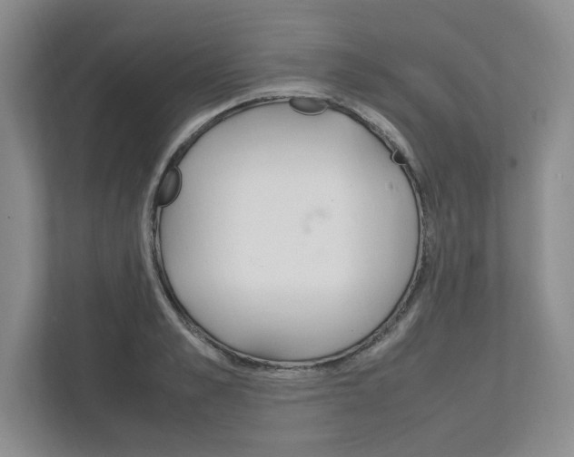 X0000111950989200907271031