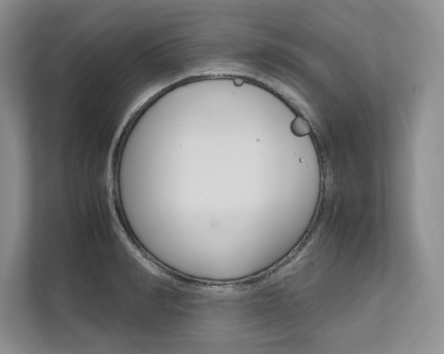 X0000111950990200907271031