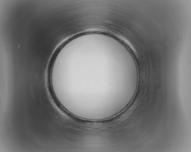 X0000111950991200907271031