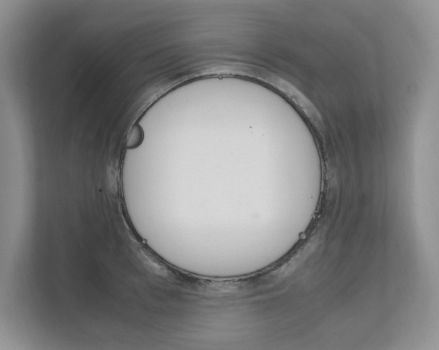 X0000111950993200907271031