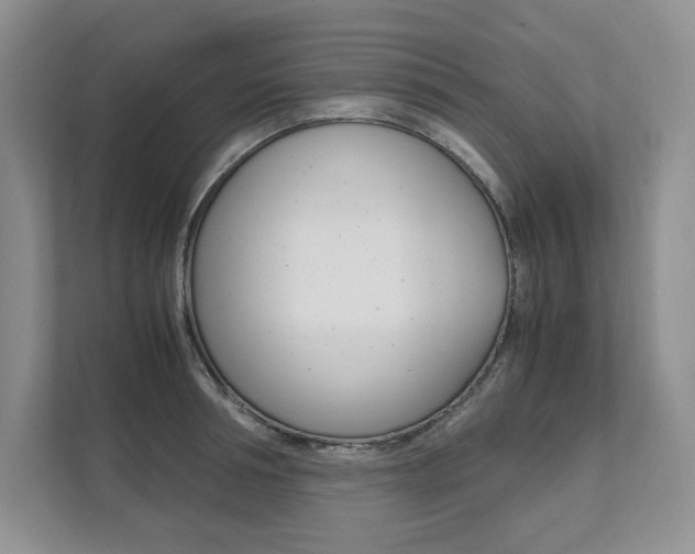 X0000111950994200907271031