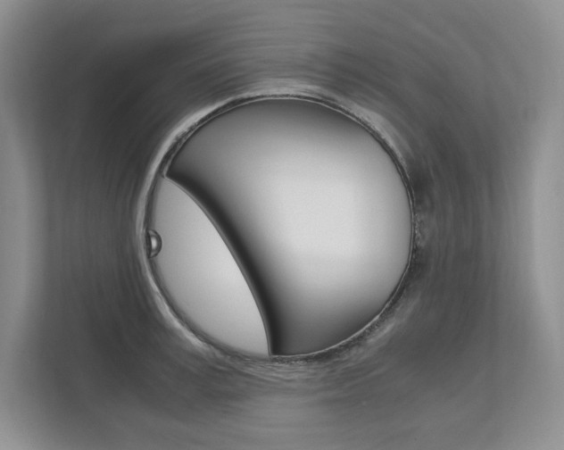 X0000111950995200907271031