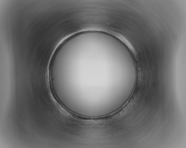 X0000111950996200907271031