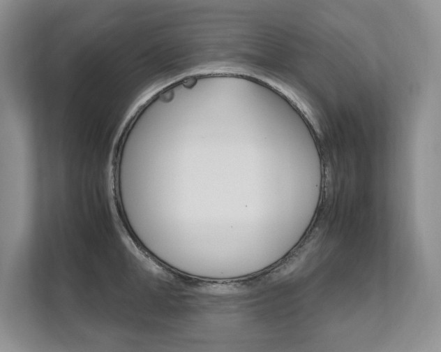 X0000111950998200907271031