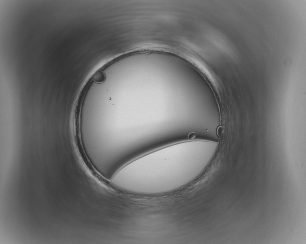 X0000111950999200907271031