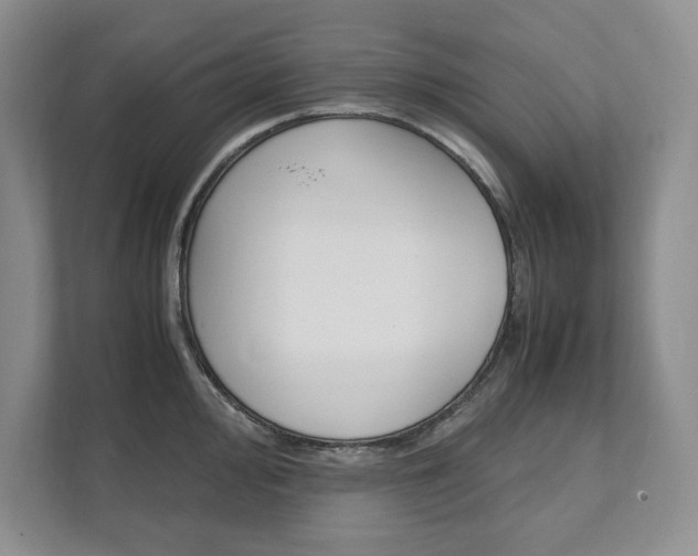 X0000111951000200907271031