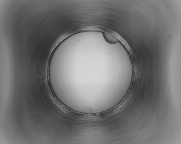 X0000111951002200907271031