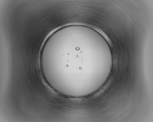 X0000111951004200907271031
