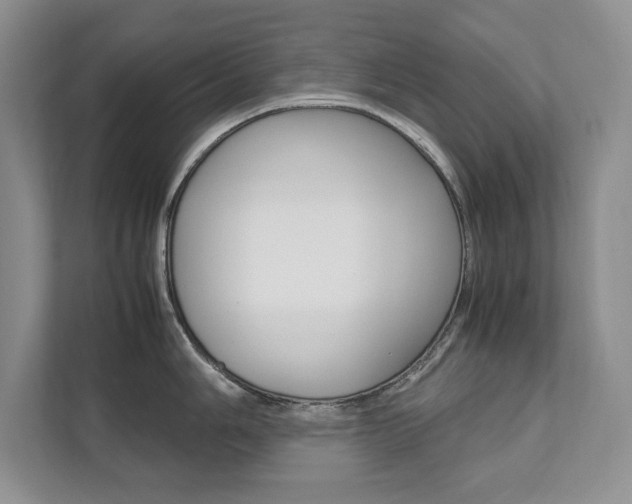 X0000111951006200907271031