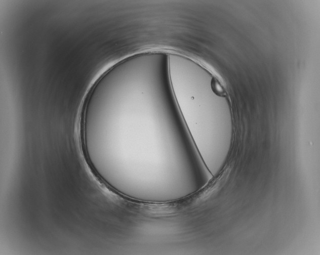 X0000111951007200907271031