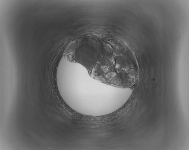 X0000111951009200907271030