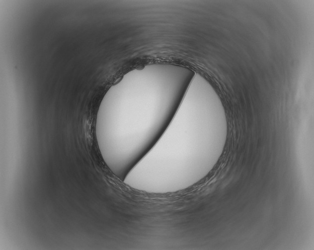 X0000111951010200907271030