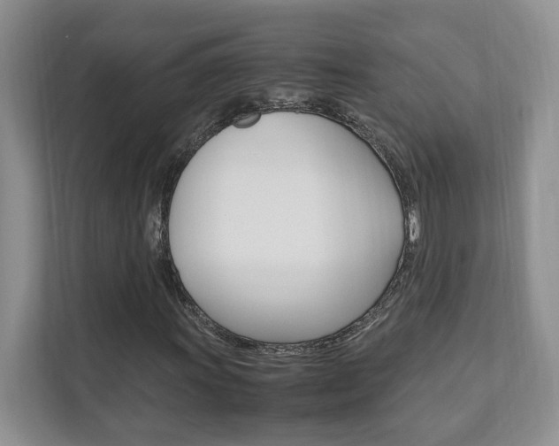 X0000111951011200907271030