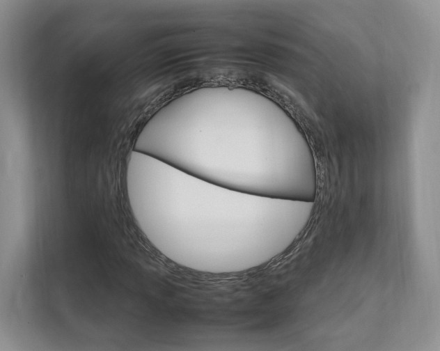 X0000111951013200907271030