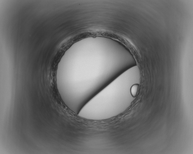 X0000111951016200907271030