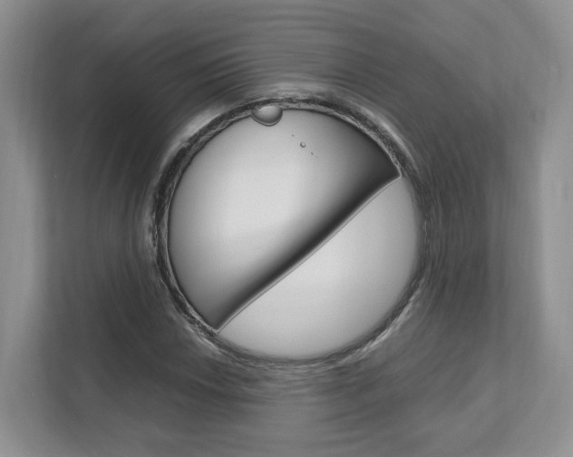 X0000111951018200907271030