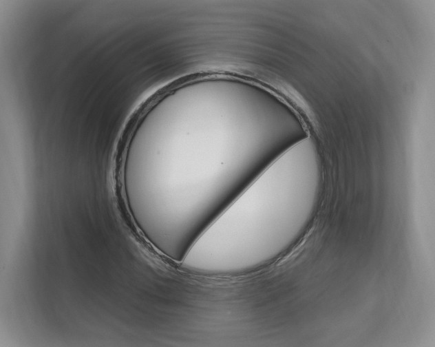 X0000111951020200907271030