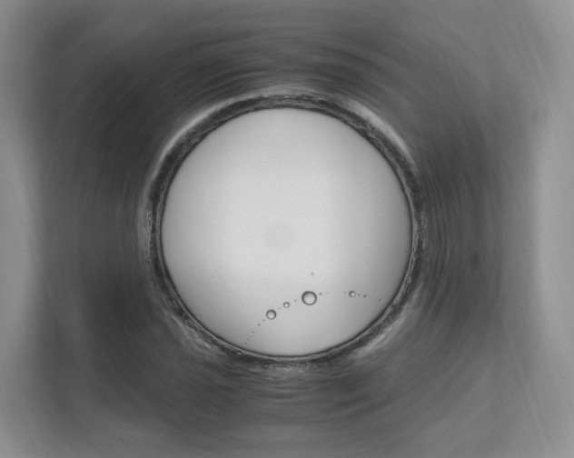 X0000111951021200907271030