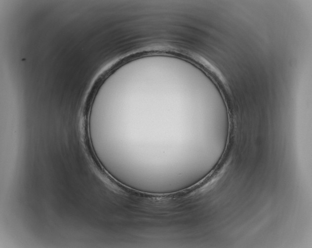 X0000111951029200907271030