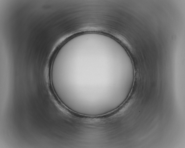 X0000111951030200907271030