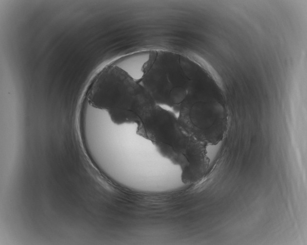 X0000111951035200907271030