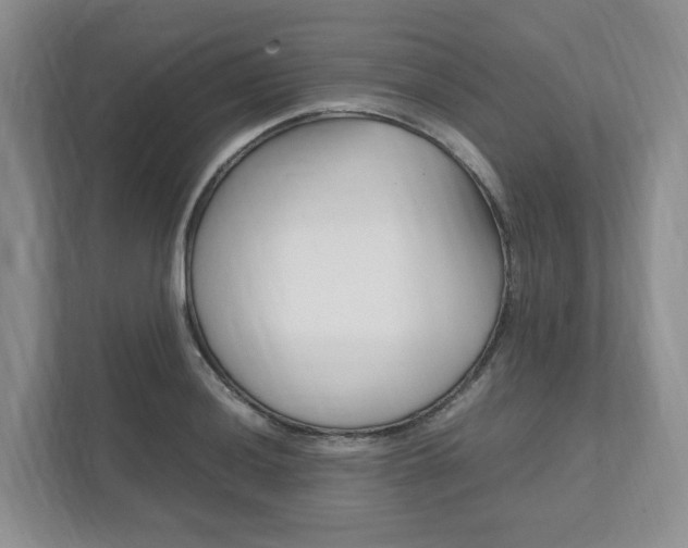X0000111951036200907271030