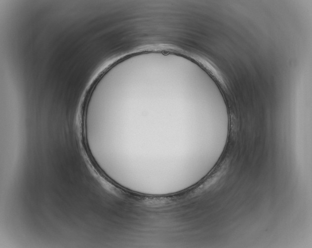 X0000111951046200907271030
