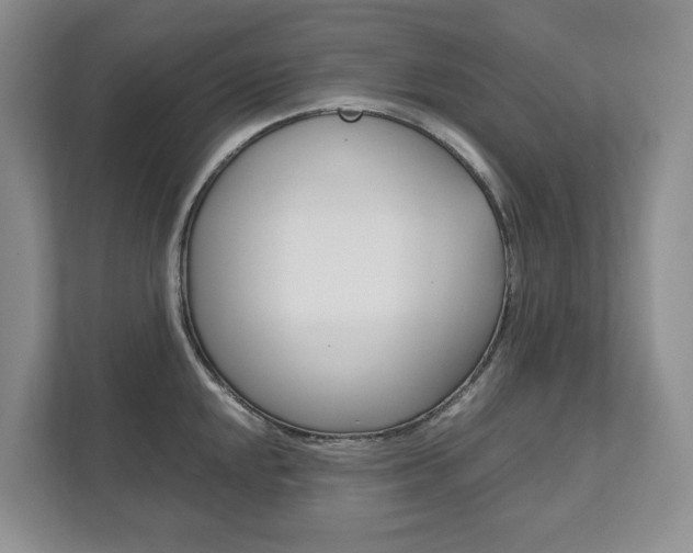 X0000111951048200907271030