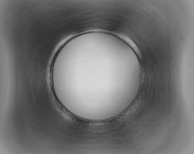 X0000111951051200907271030