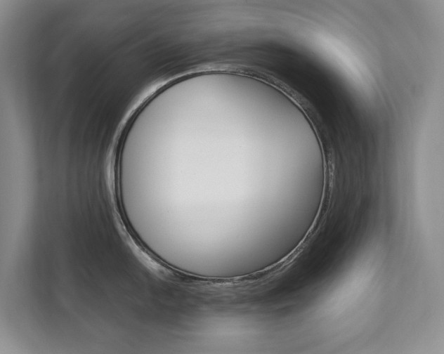X0000111951054200907271031