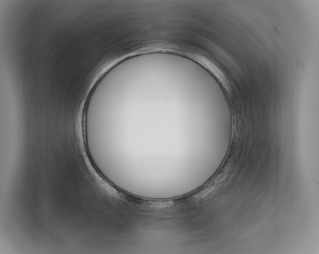 X0000111951055200907271031