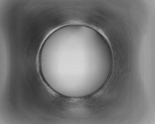 X0000111951056200907271031