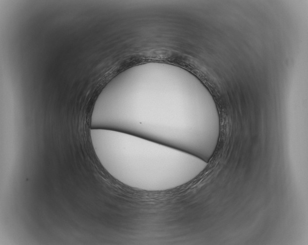 X0000111951058200907271030